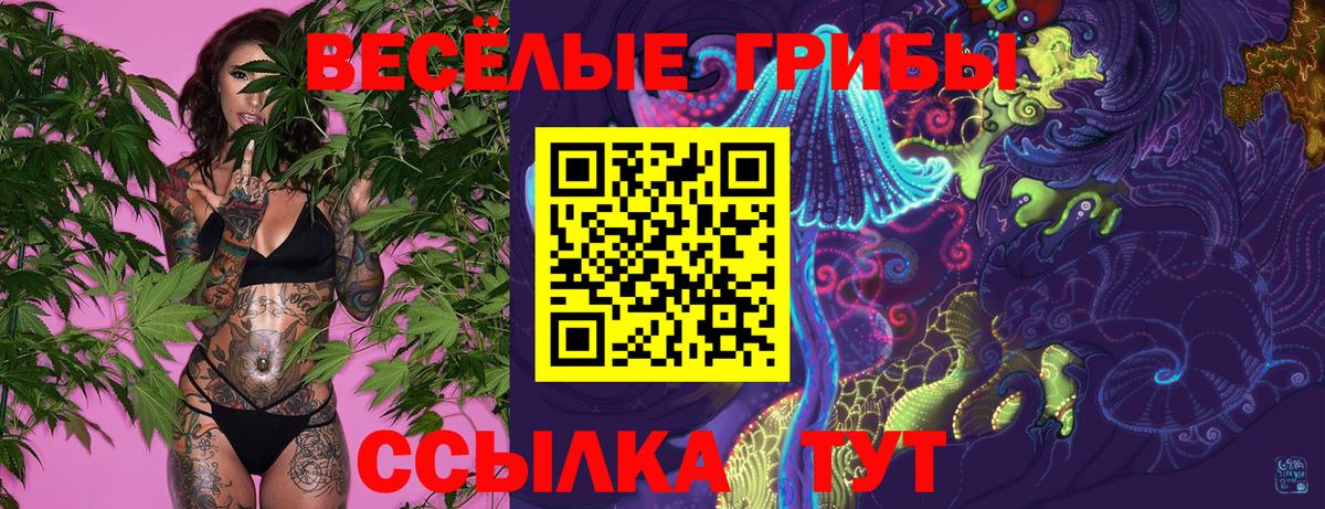 Галлюциногенные грибы GOLDEN TEACHER  Галлюциногенные грибы прущие грибы  Зеленодольск  Вход с VPN 